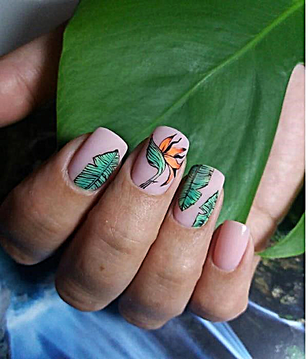 Fashionable manicure for the summer 2020-2021 - fresh photos of the idea of ​​a summer manicure
