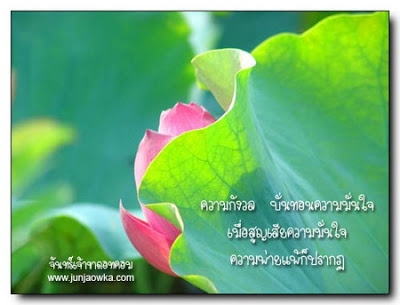 ทดสอบสุขภาพ