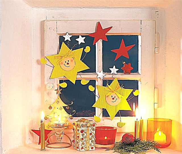 Decorate the window for Christmas with your own hands