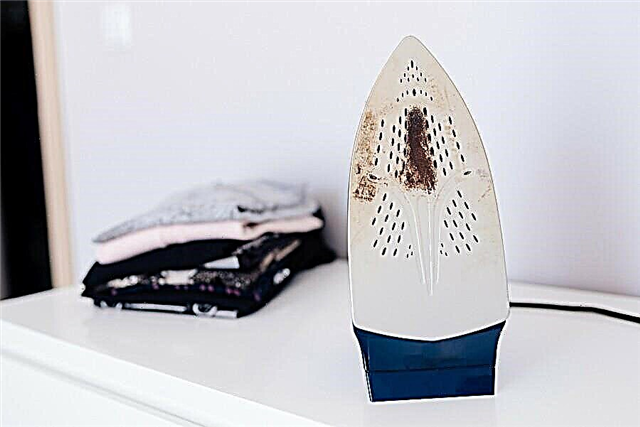 How to clean the iron at home: 6 ways