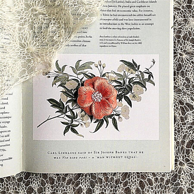 How to embroider a volumetric flower: master class