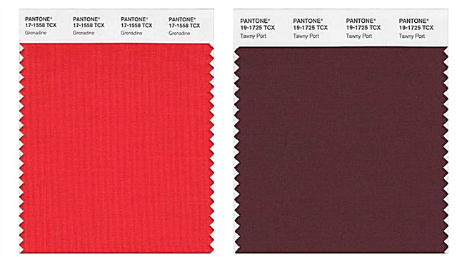 Pantone experts called the most fashionable shade of autumn 2017