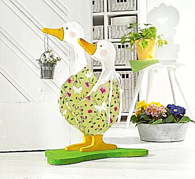 Geese: do-it-yourself decor