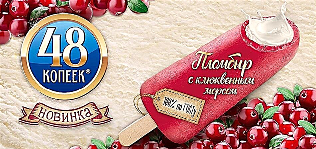 Nestlé celebra el vigésimo aniversario de la fábrica de helados Zhukovsky
