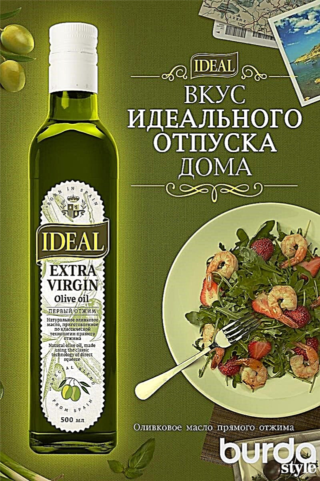 Aceite de oliva ideal - tan cerca de España