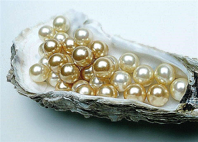 Couture de perles: une brève histoire de la broderie traditionnelle russe