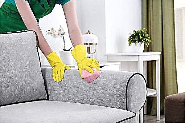 Reinigen des Sofas: Tipps zum Reinigen des Sofas von Schmutz zu Hause