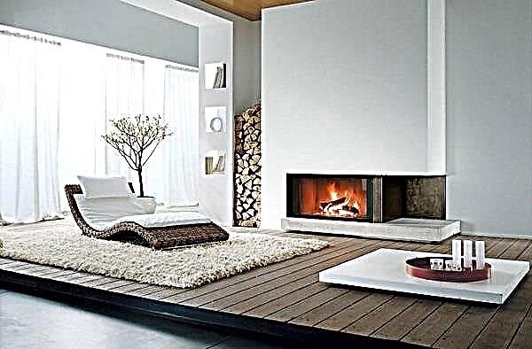 Fireplace in the interior: design of a room with a fireplace, fireplace in the interior design photo